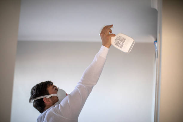Best Attic Mold Removal  in Riceville, TN
